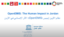 The Human Impact Input in Jordan